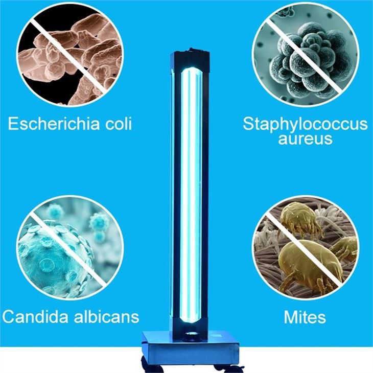 Esterilizador de luz UV móvel