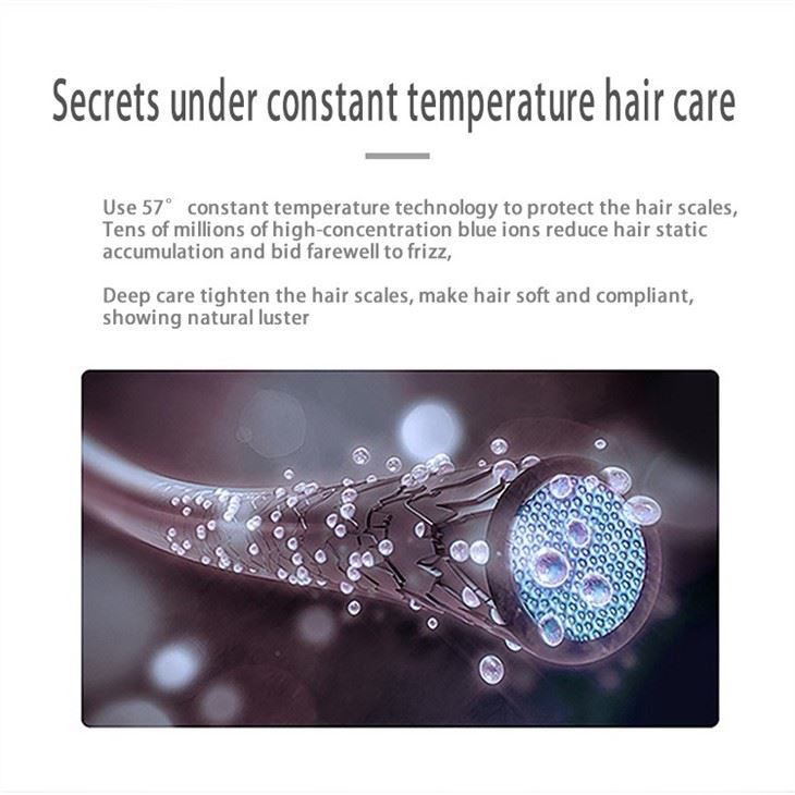 Secador de cabelo T