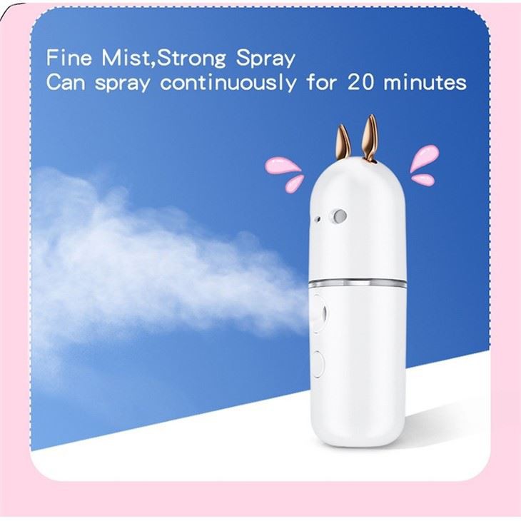 Mini Spray facial